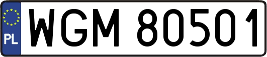 WGM80501