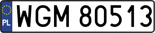 WGM80513