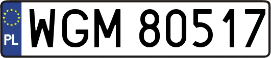 WGM80517
