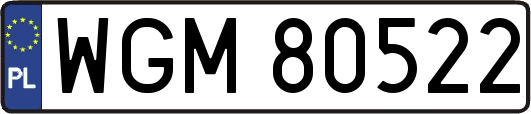 WGM80522