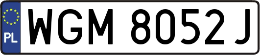 WGM8052J