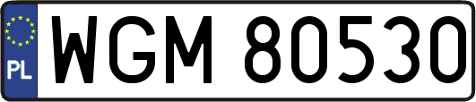 WGM80530