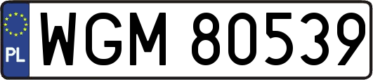 WGM80539