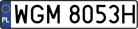 WGM8053H