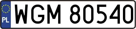 WGM80540