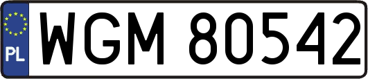 WGM80542
