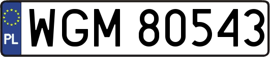 WGM80543