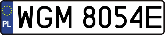 WGM8054E