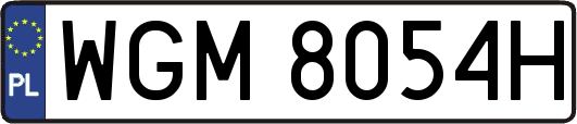 WGM8054H