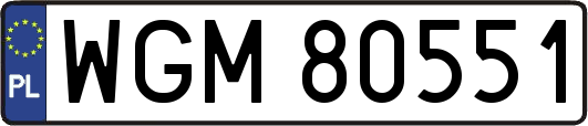 WGM80551