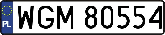 WGM80554