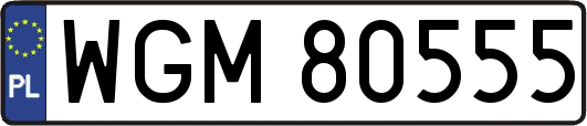 WGM80555