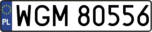 WGM80556