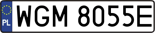 WGM8055E