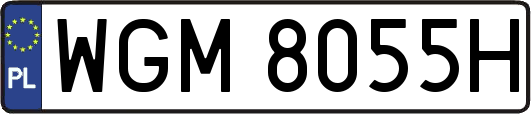 WGM8055H