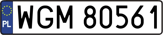 WGM80561