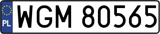 WGM80565