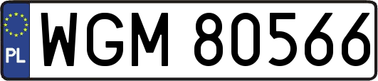 WGM80566