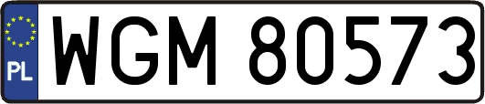 WGM80573