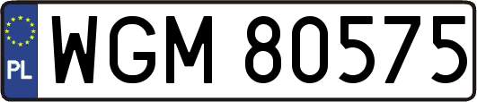 WGM80575