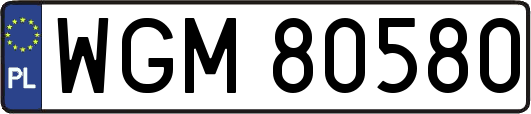 WGM80580