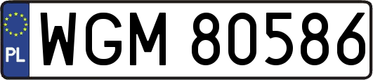 WGM80586