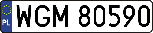 WGM80590