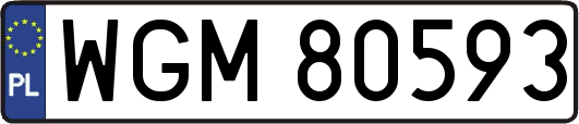 WGM80593