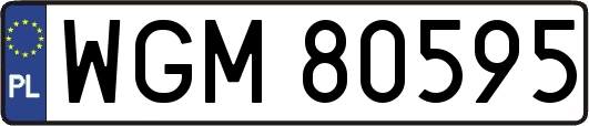 WGM80595