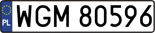 WGM80596