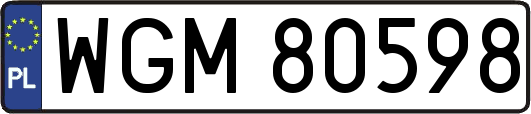 WGM80598