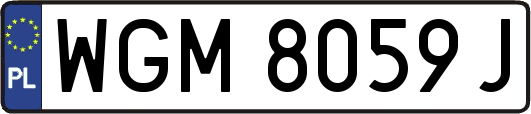 WGM8059J