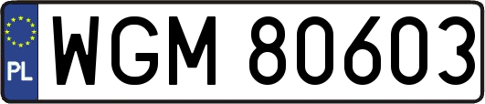 WGM80603