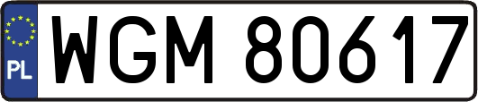 WGM80617