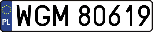 WGM80619