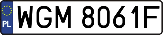 WGM8061F