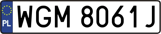 WGM8061J