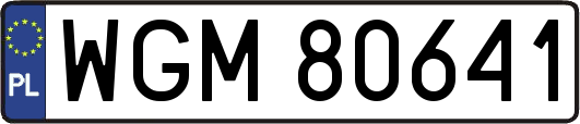WGM80641