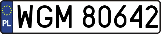 WGM80642