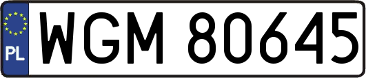 WGM80645
