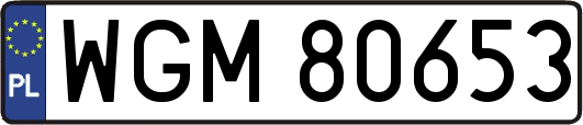 WGM80653