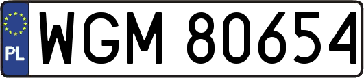 WGM80654