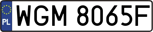 WGM8065F