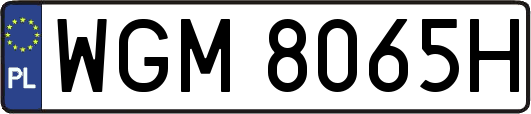 WGM8065H
