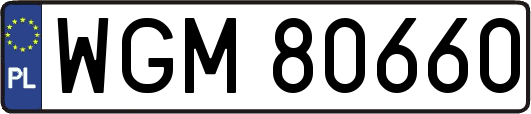 WGM80660