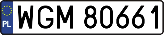 WGM80661