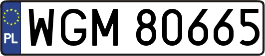 WGM80665