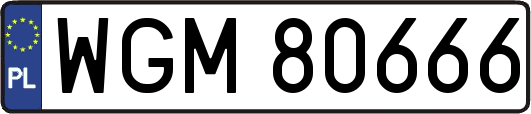 WGM80666