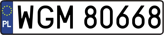 WGM80668
