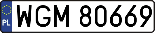 WGM80669